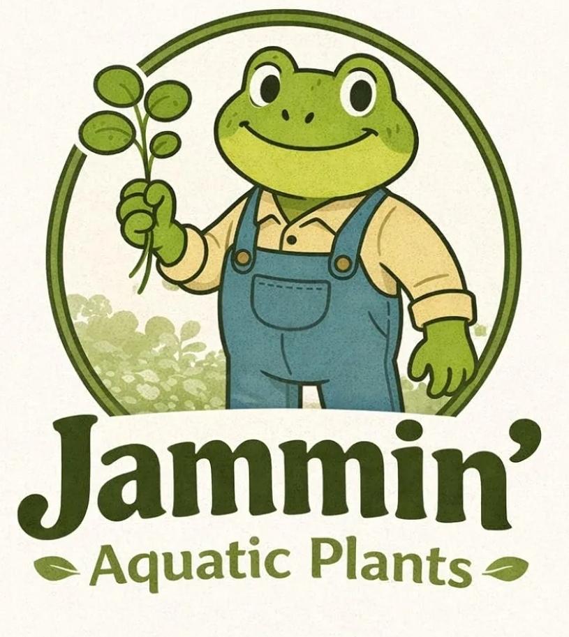 Jammin' Aquatic Plants